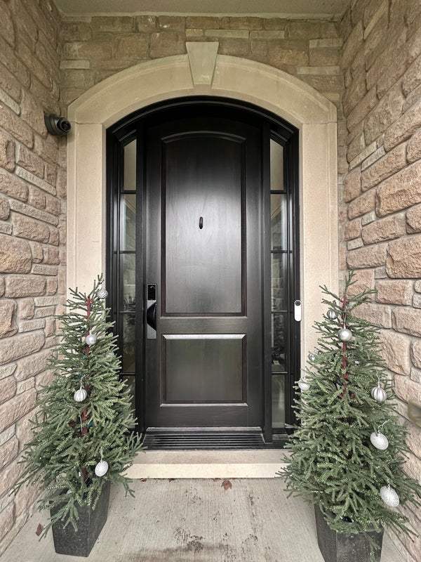 v5 black installed on a residential door in a North American home